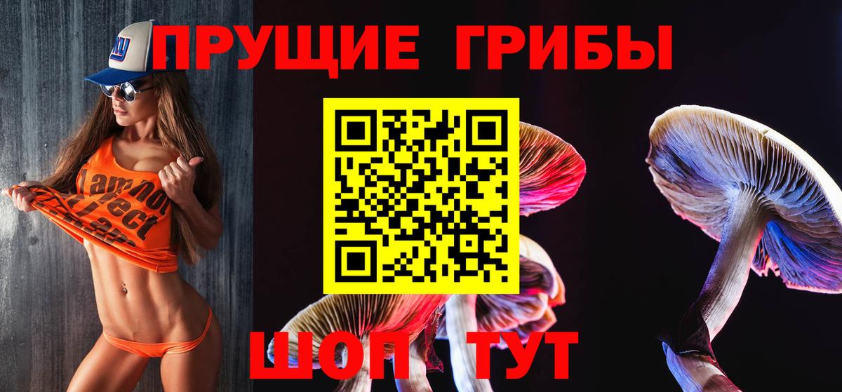Псилоцибиновые грибы GOLDEN TEACHER Алушта