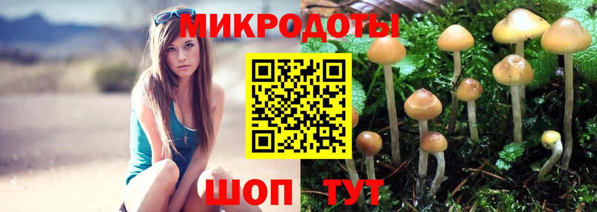 Алушта  Псилоцибиновые грибы Psilocybine cubensis  Вход с VPN 